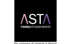 PrimaveraVenti - Asta benefica